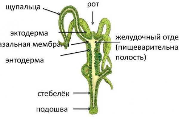 Сайты даркнета