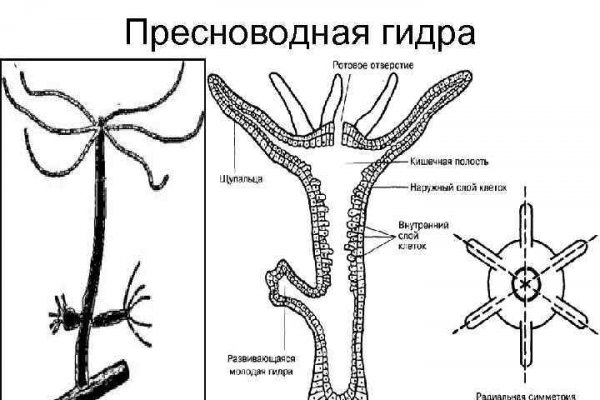 Кракен что продается