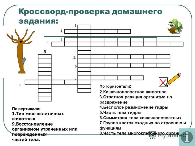 Кракен ссылка на рабочее зеркало